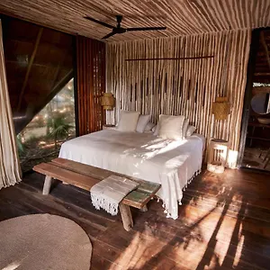 https://kapok-bacalar-plant-based-hotel.quintano-roohotels.com